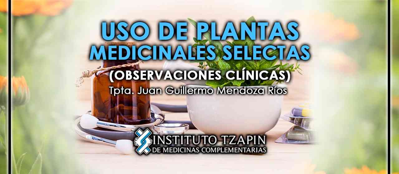 banner para USO DE PLANTAS MEDICINALES SELECTAS (OBSERVACIONES CLÍNICAS)
