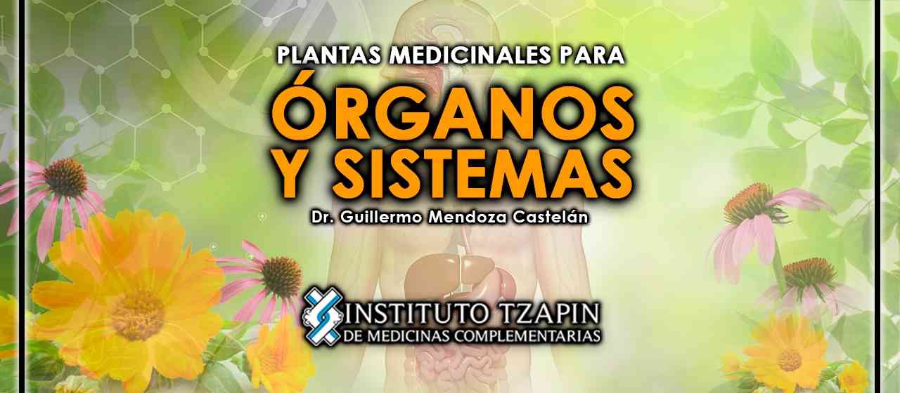 banner para PLANTAS MEDICINALES PARA ÓRGANOS Y SISTEMAS