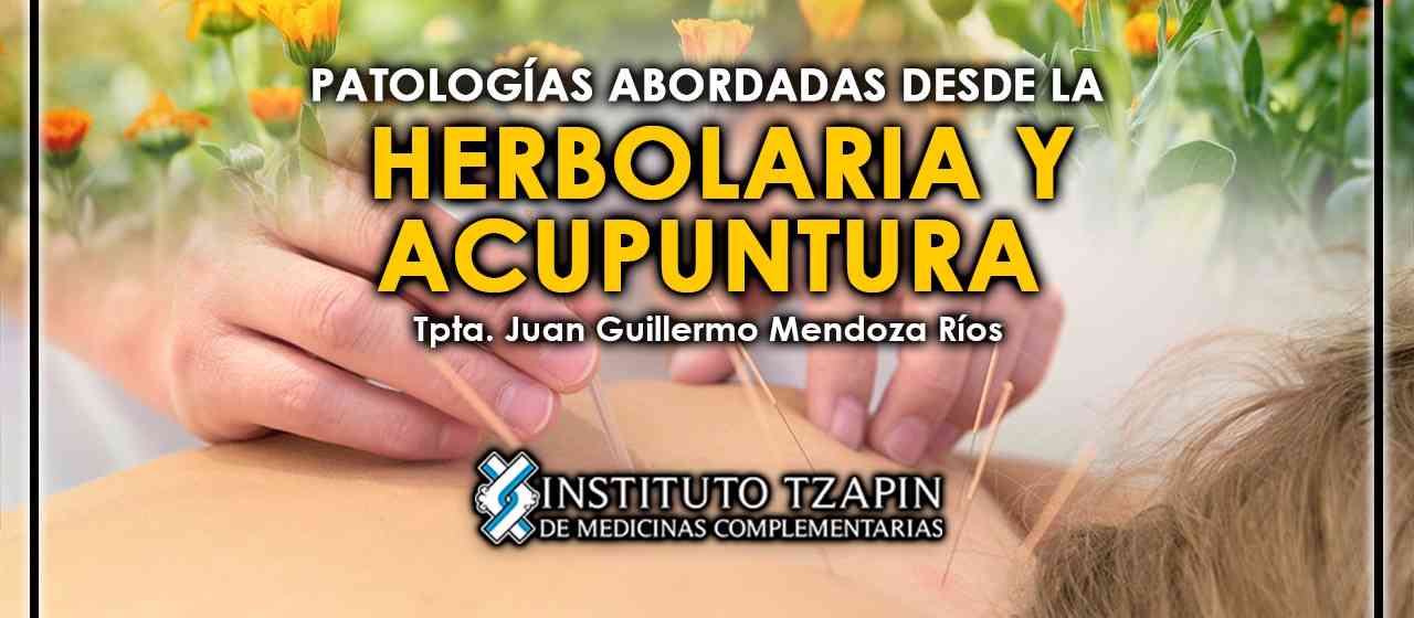 banner para PATOLOGIAS ABORDADAS DESDE LA HERBOLARIA Y LA ACUPUNTURA