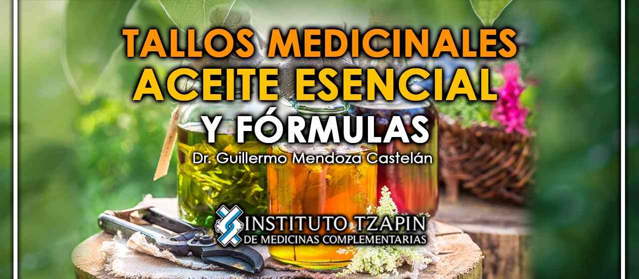 banner para TALLOS MEDICINALES ACEITE ESENCIAL Y FÓRMULAS