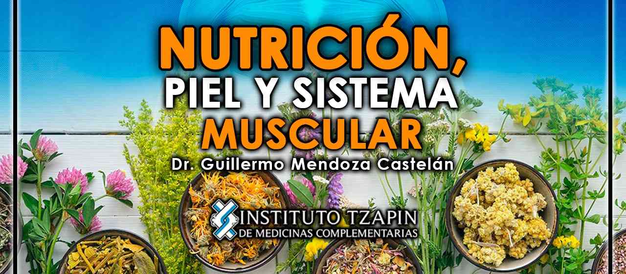 banner para NUTRICIÓN, PIEL Y SISTEMA MUSCULAR