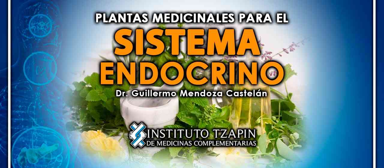 banner para PLANTAS MEDICINALES PARA EL SISTEMA ENDOCRINO