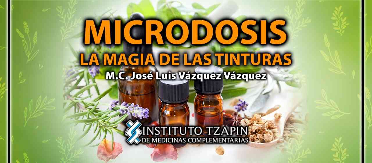 banner para MICRODOSIS LA MAGIA DE LAS TINTURAS