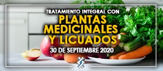 banner para TRATAMIENTO INTEGRAL CON PLANTAS MEDICINALES Y LICUADOS CURSO COMPLETO