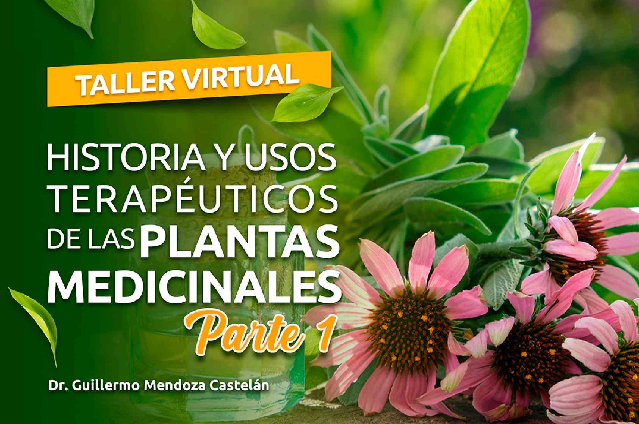 banner para HISTORIA Y USOS TERAPÉUTICOS DE LAS PLANTAS MEDICINALES (PARTE I)