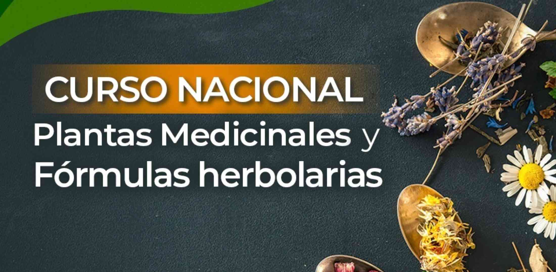 banner para CURSO NACIONAL DE PLANTAS MEDICINALES