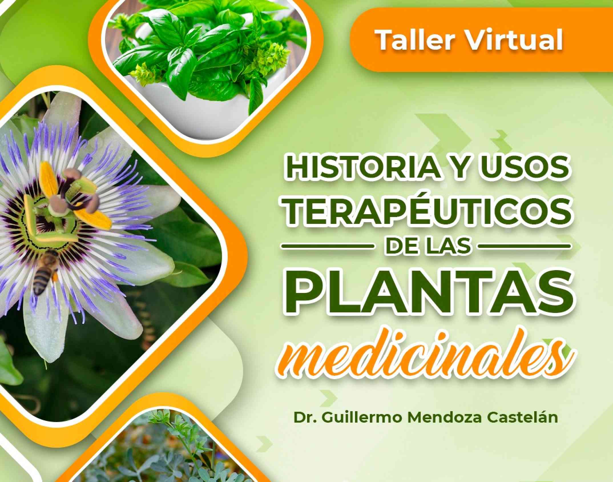 Banner para el curso de HISTORIA Y USOS TERAPÉUTICOS DE LAS PLANTAS MEDICINALES (PARTE VIII)>