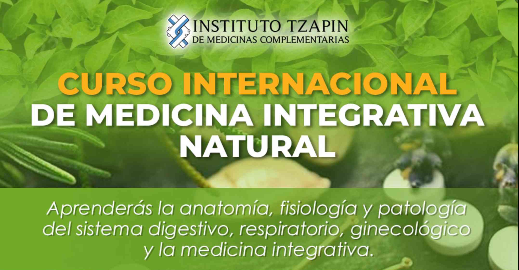 Banner para el curso de CURSO INTERNACIONAL DE MEDICINA INTEGRATIVA NATURAL>