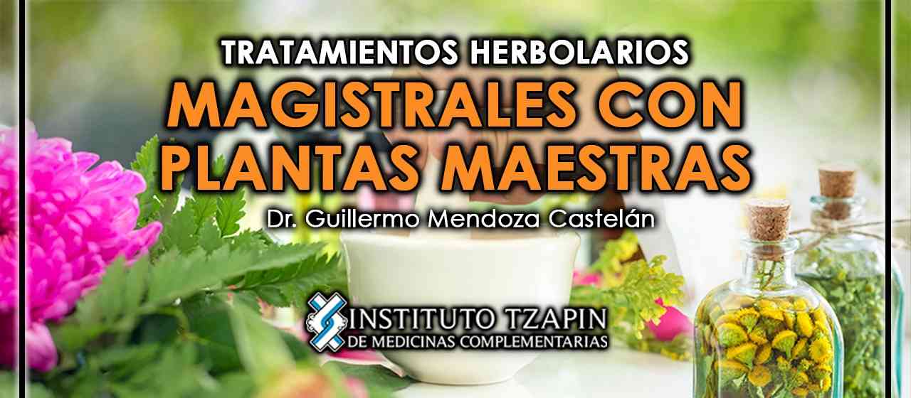 banner para TRATAMIENTOS HERBOLARIOS MAGISTRALES CON PLANTAS MAESTRAS