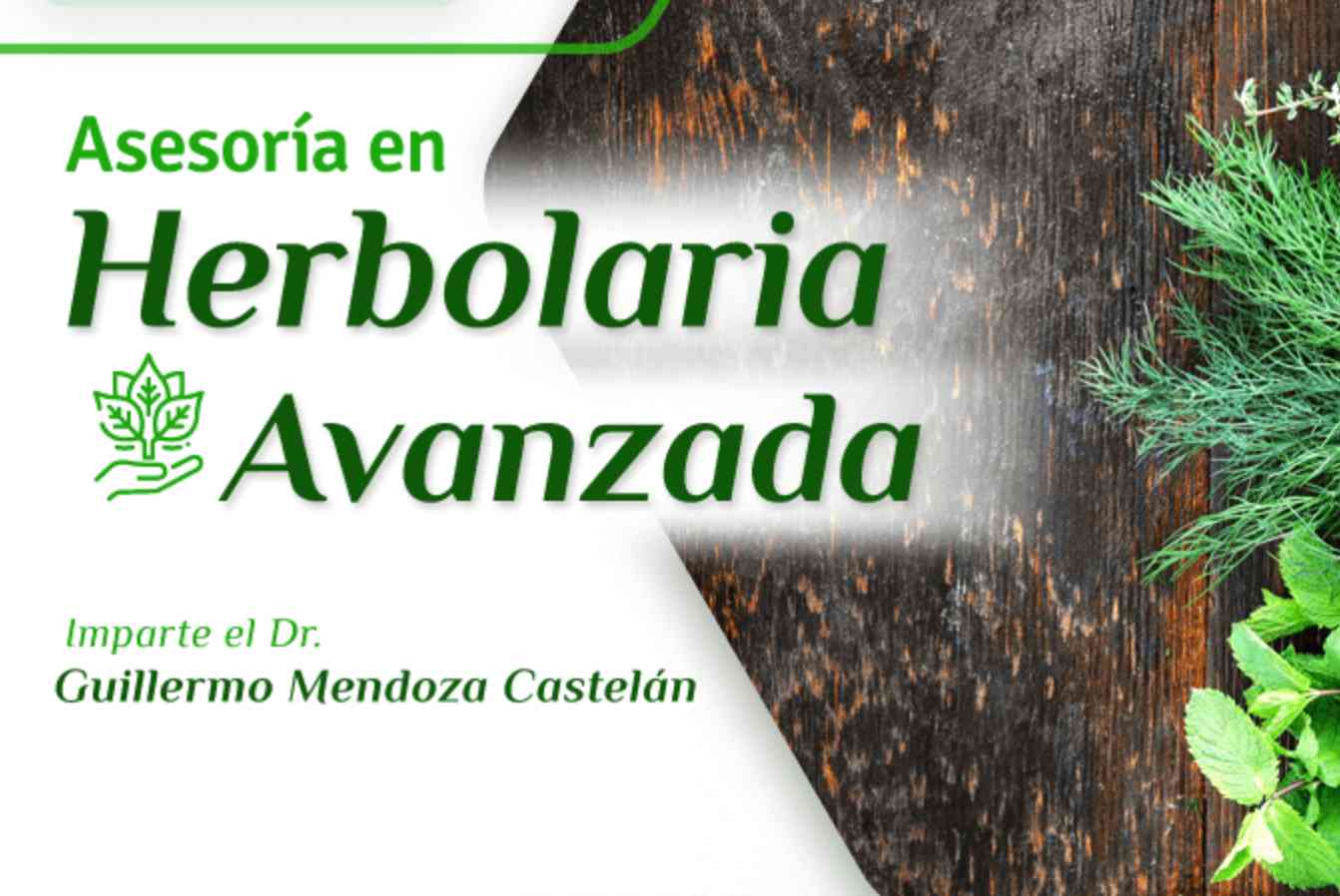 banner para ASESORIA EN HERBOLARIA AVANZADA GRUPO DOS (Módulo 5,6,7)