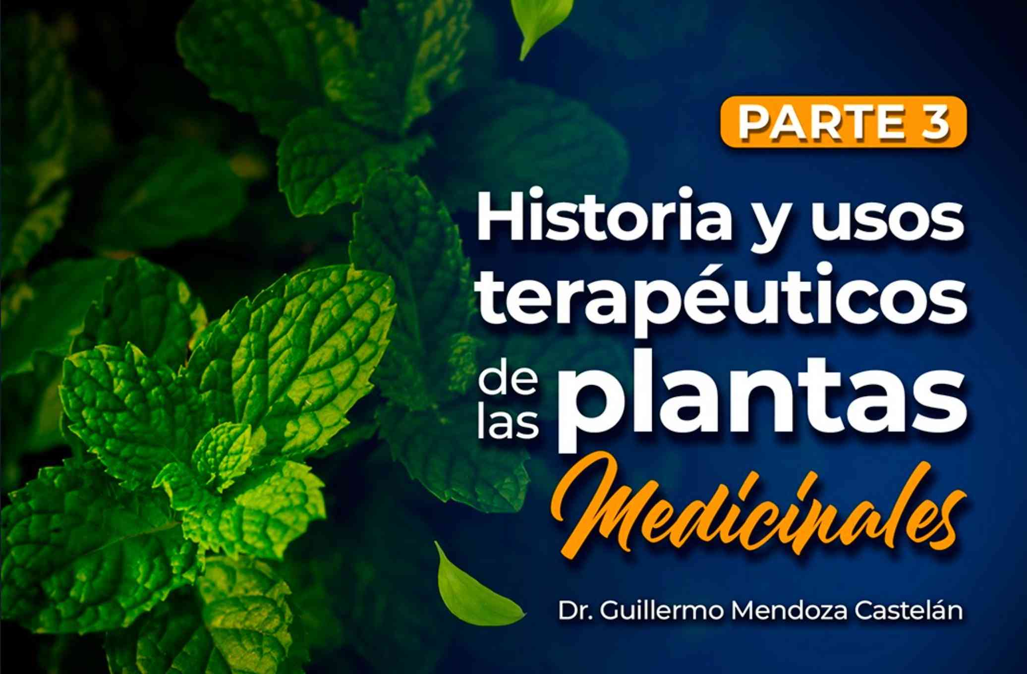 Banner para el curso de HISTORIA Y USOS TERAPÉUTICOS DE LAS PLANTAS MEDICINALES (PARTE III)>