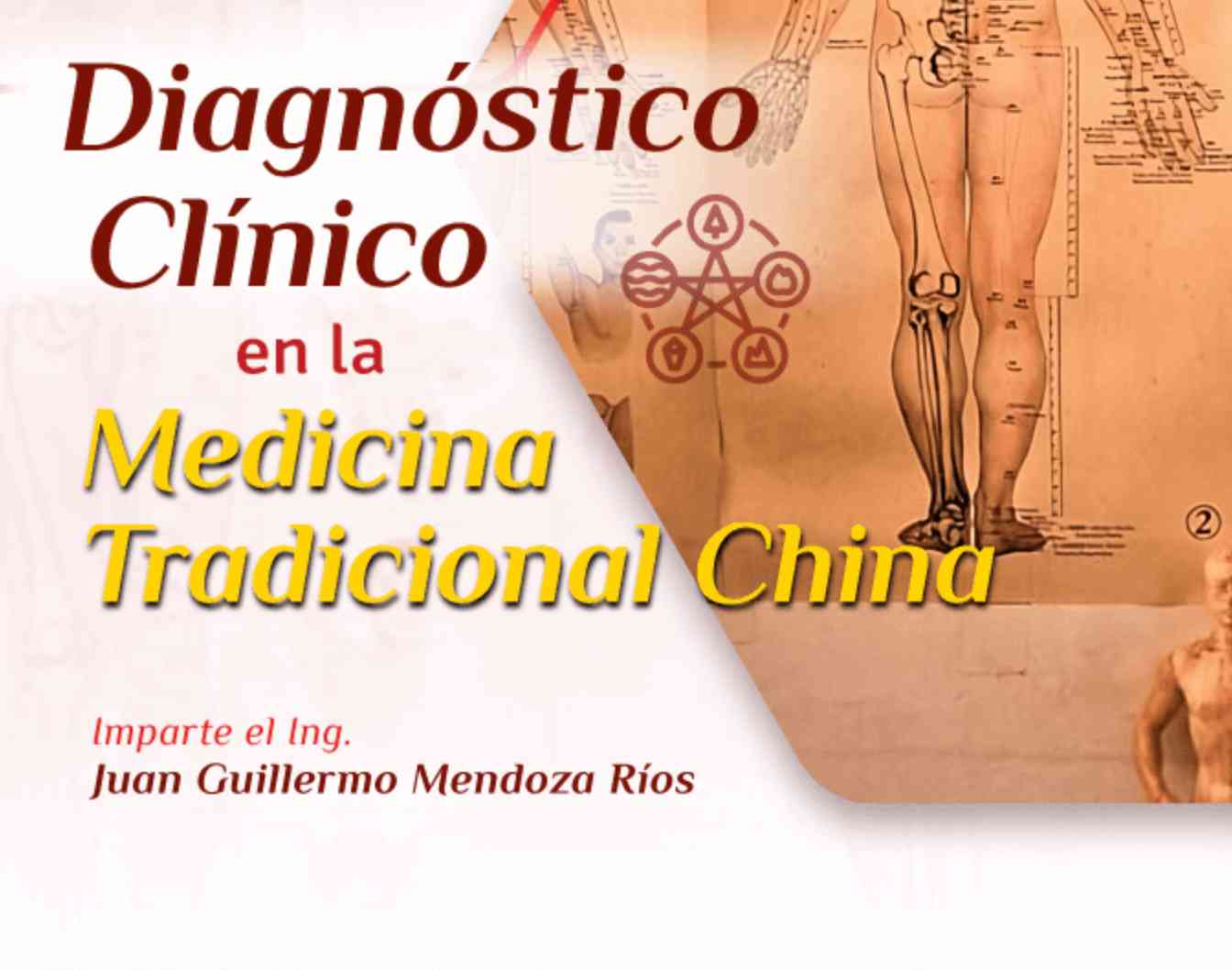 Banner para el curso de DIAGNÓSTICO CLÍNICO EN LA MEDICINA TRADICIONAL CHINA>