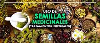 banner para USO DE SEMILLAS MEDICINALES (TRATAMIENTOS INTEGRALES)