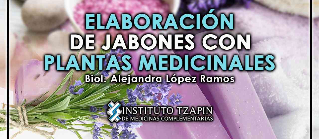banner para ELABORACIÓN DE JABONES CON PLANTAS MEDICINALES