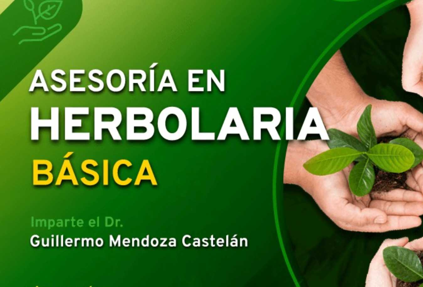 banner para ASESORIA EN HERBOLARIA BÁSICA GRUPO 2