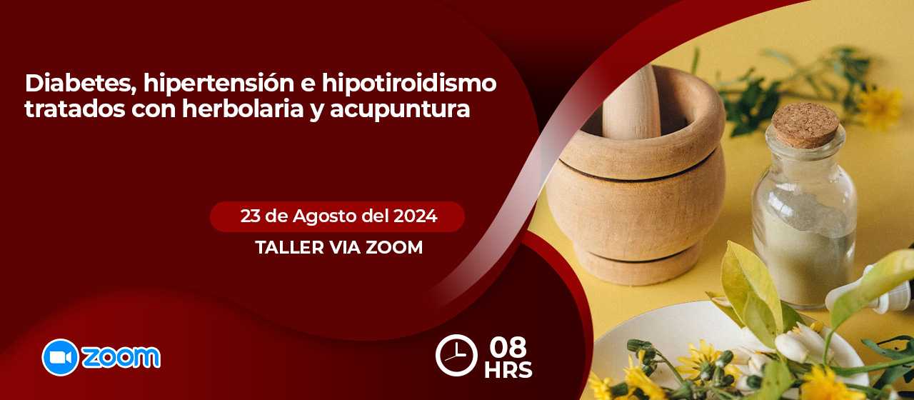 banner para DIABETES, HIPERTENSIÓN E HIPOTIROIDISMO TRATADOS CON ACUPUNTURA-ZOOM