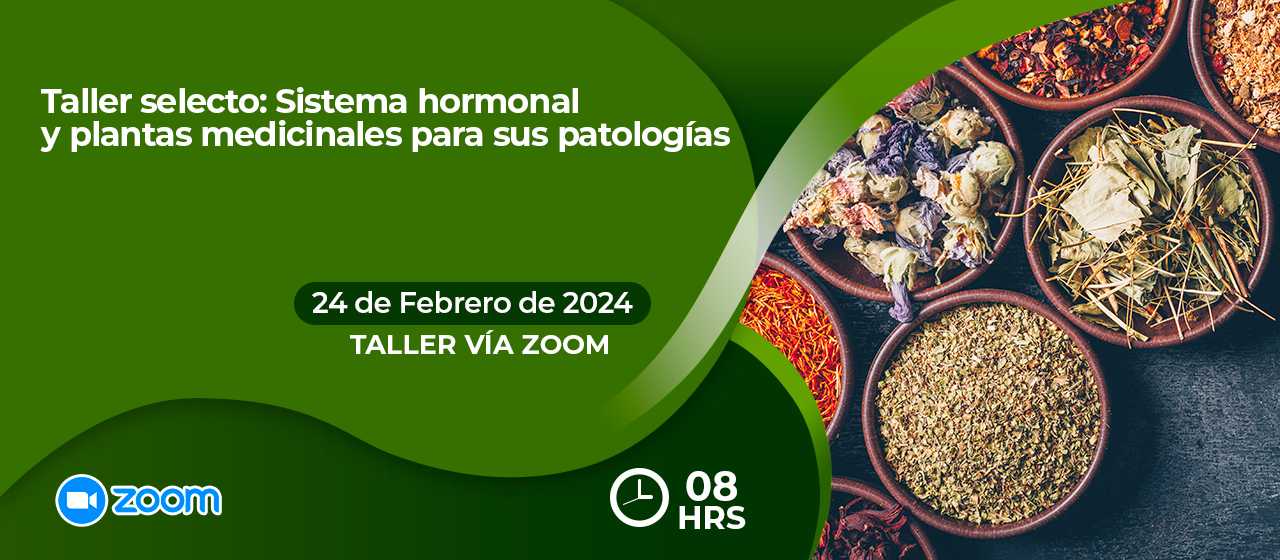 banner para SISTEMA HORMONAL Y PLANTAS MEDICINALES PARA SUS PATOLOGIAS-ZOOM