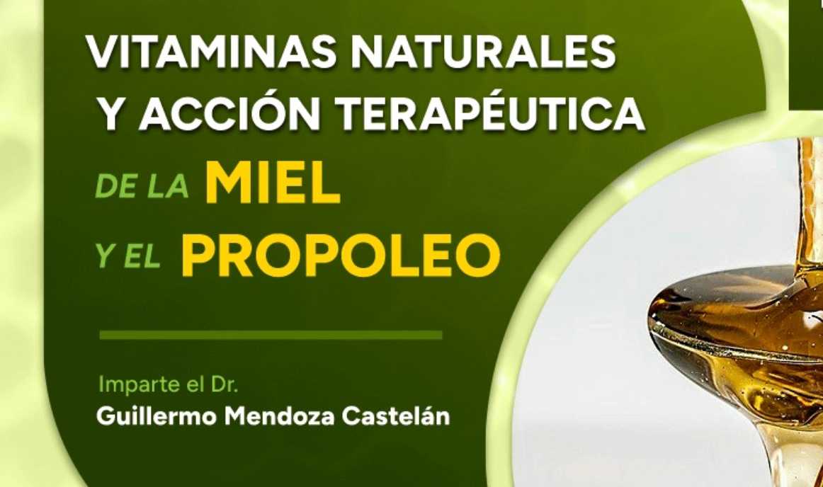 banner para VITAMINAS NATURALES Y ACCIÓN TERAPÉUTICA DE LA MIEL Y EL PROPOLEO
