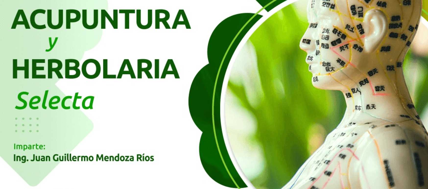 banner para DIPLOMADO: ACUPUNTURA Y HERBOLARIA SELECTA