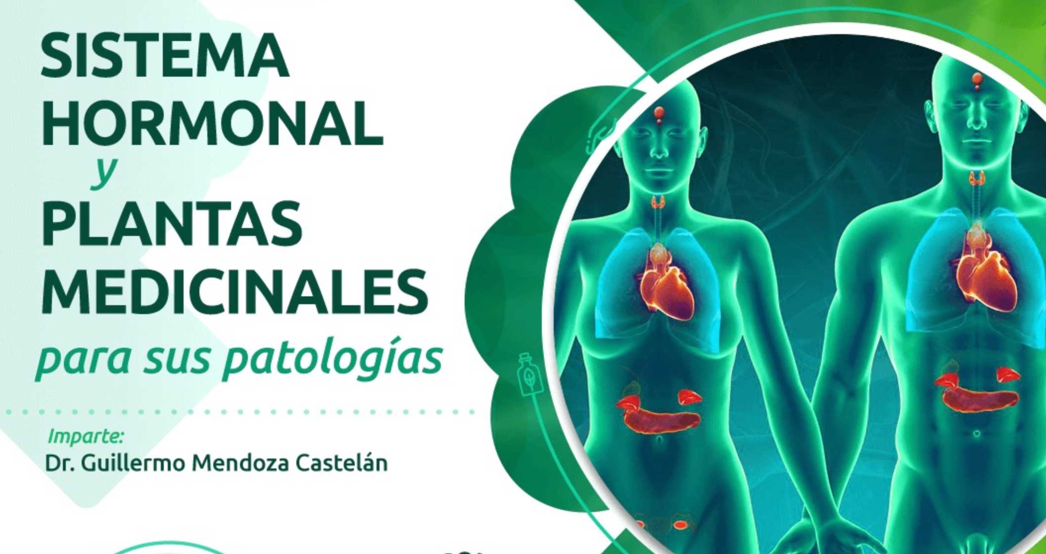 banner para SISTEMA HORMONAL Y PLANTAS MEDICINALES PARA SUS PATOLOGIAS