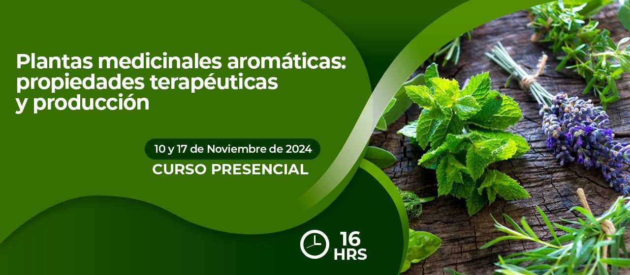 banner para PLANTAS MEDICINALES AROMÁTICAS: PROPIEDADES TERAPÉUTICAS Y PRODUCCIÓN