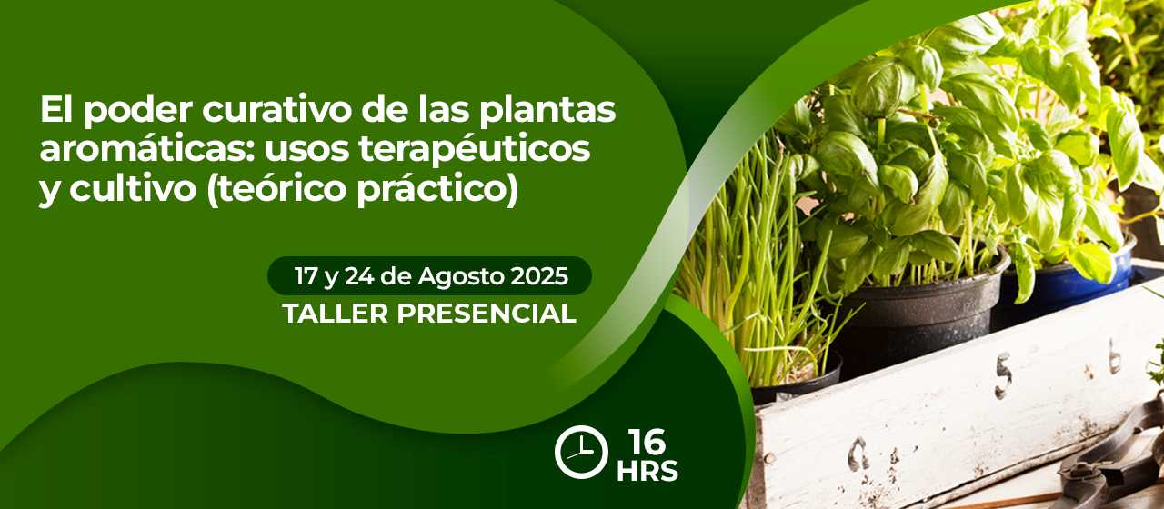 banner para  EL PODER CURATIVO DE LAS PLANTAS AROMÁTICAS: USOS TERAPÉUTICOS Y CULTIVO (TEÓRICO PRÁCTICO)