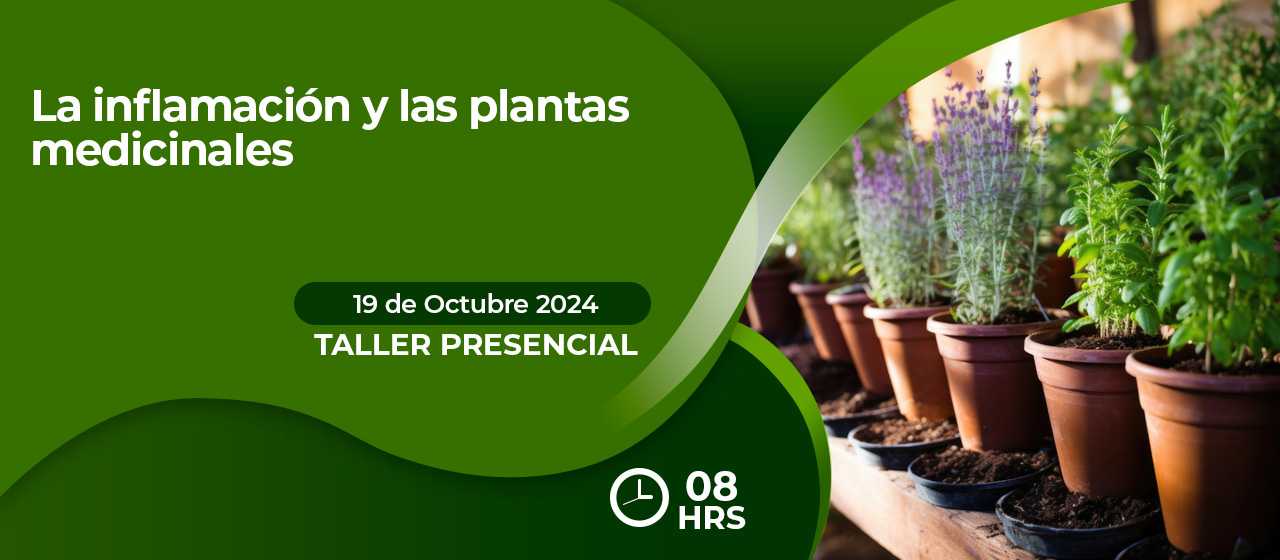 banner para LA INFLAMACIÓN Y LAS PLANTAS MEDICINALES