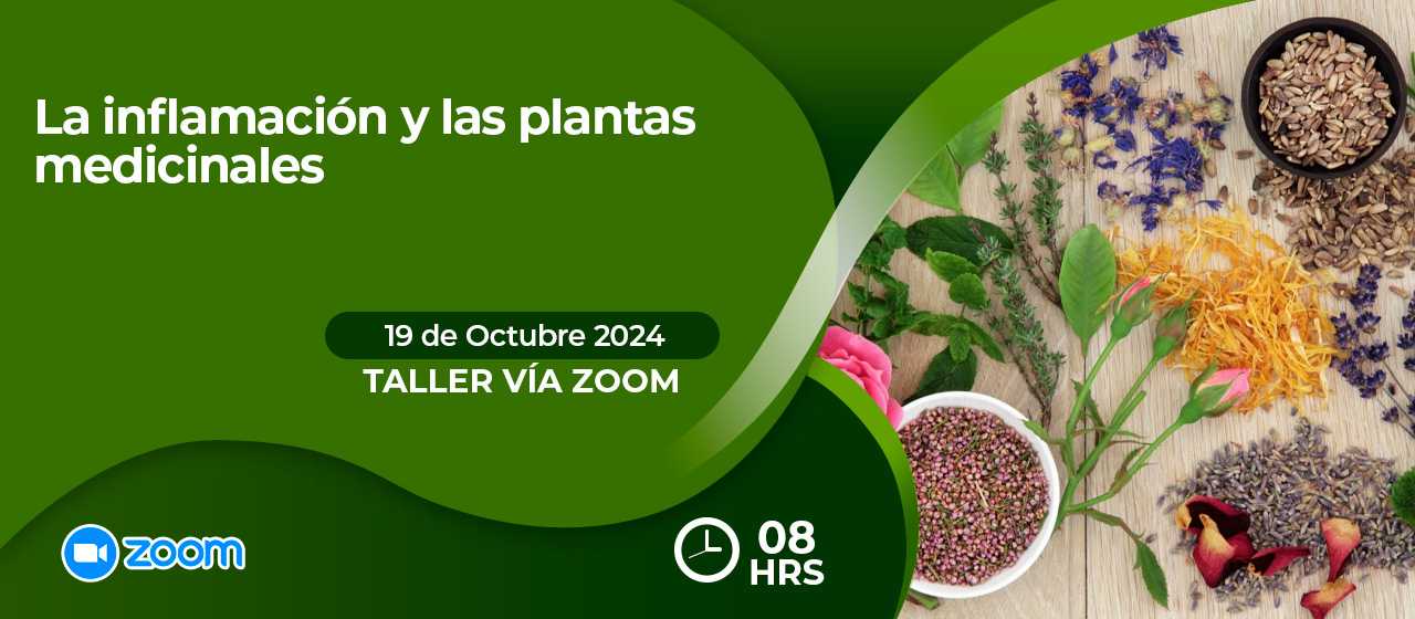 banner para LA INFLAMACIÓN Y LAS PLANTAS MEDICINALES-ZOOM