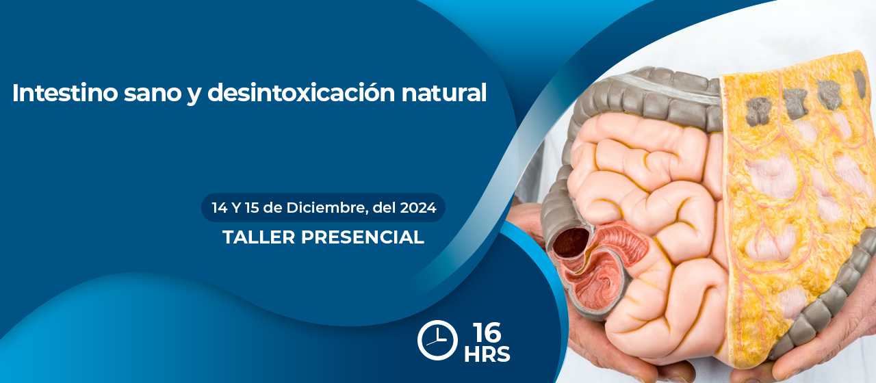 banner para INTESTINO SANO Y DESINTOXICACIÓN NATURAL 