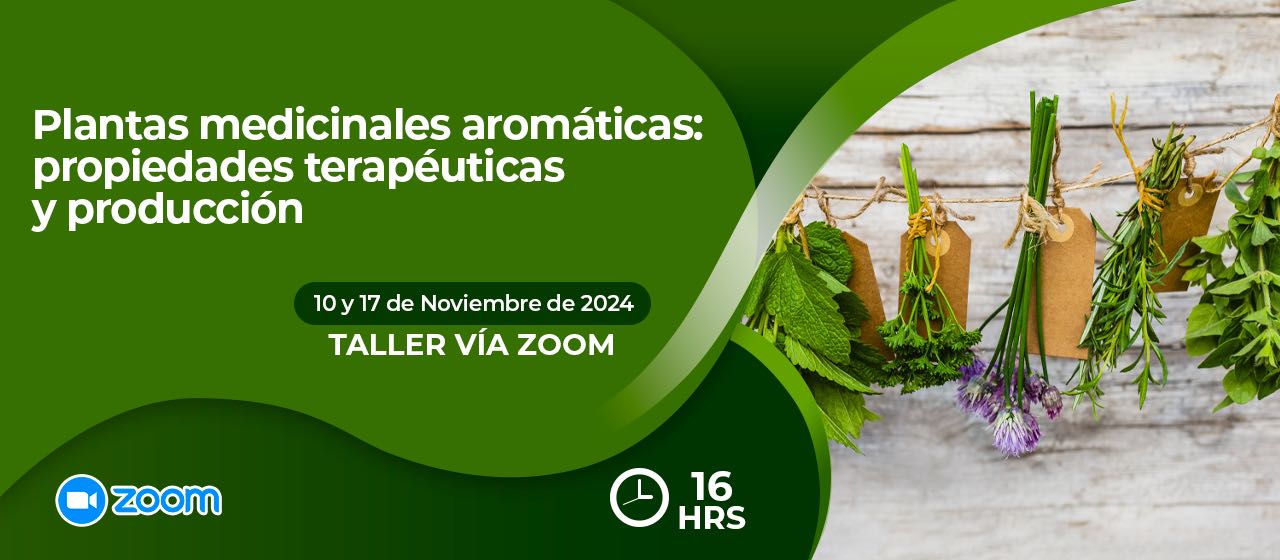 banner para PLANTAS MEDICINALES AROMÁTICAS: PROPIEDADES TERAPÉUTICAS Y PRODUCCIÓN-ZOOM 