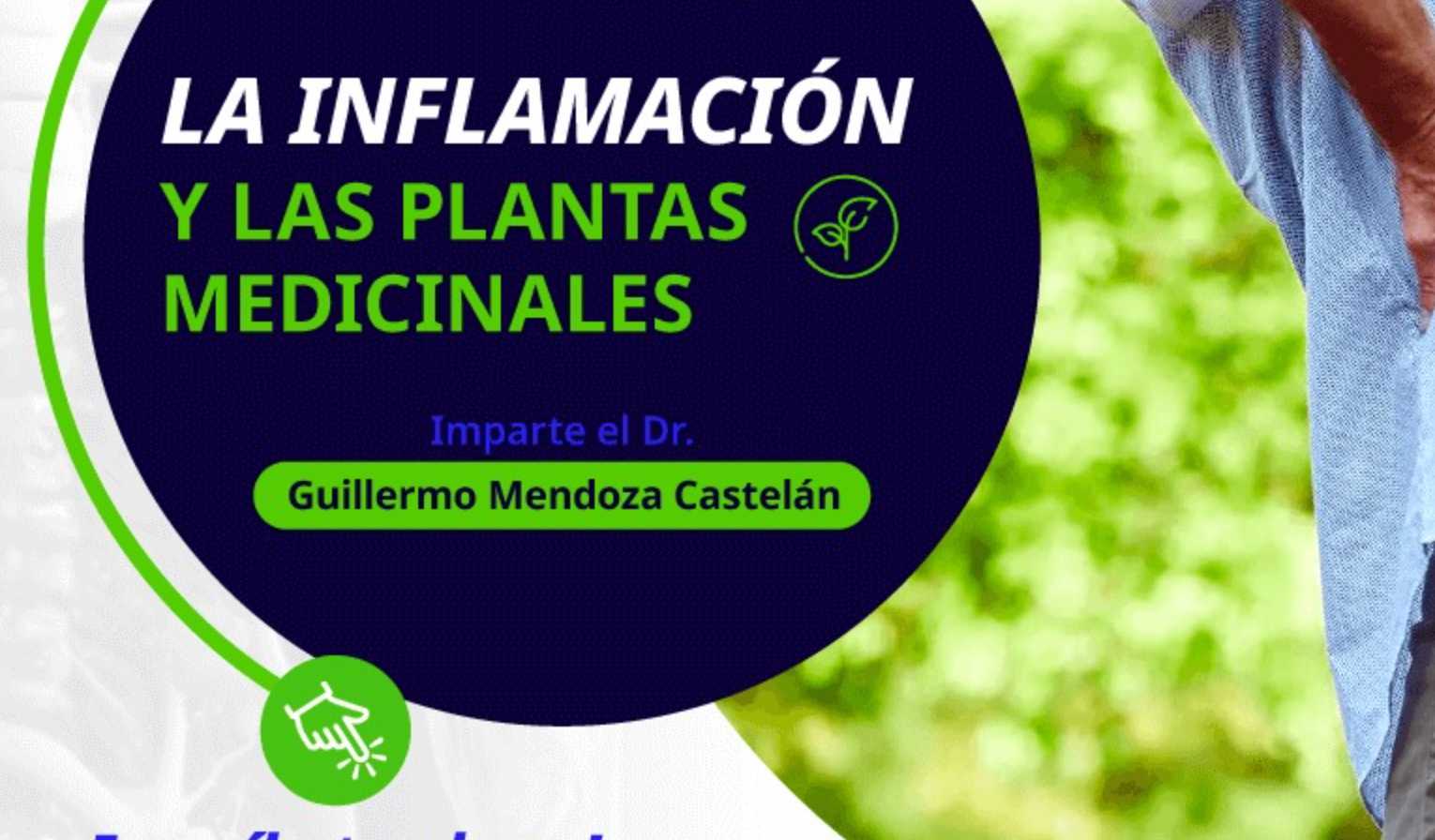 banner para LA INFLAMACIÓN Y LAS PLNATAS MEDICINALES