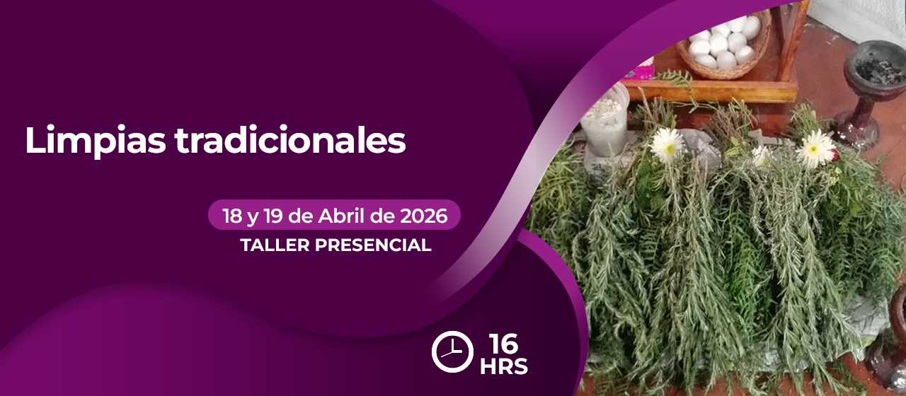 banner para LIMPIAS TRADICIONALES 