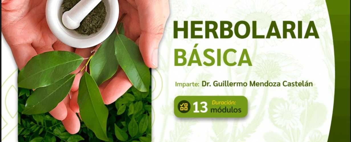 banner para ASESORIA EN HERBOLARIA BASICA GRUPO 5