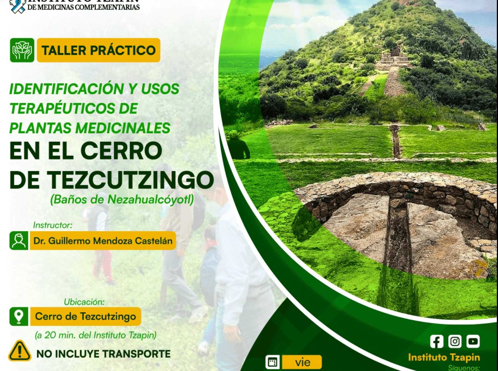 banner para  TALLER PRÁCTICO:  Identificación y usos terapéuticos de plantas medicinales en el Cerro de Tezcutzi