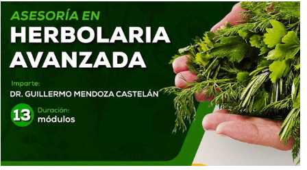 banner para ASESORIA EN HERBOLARIA AVANZADA GRUPO 6