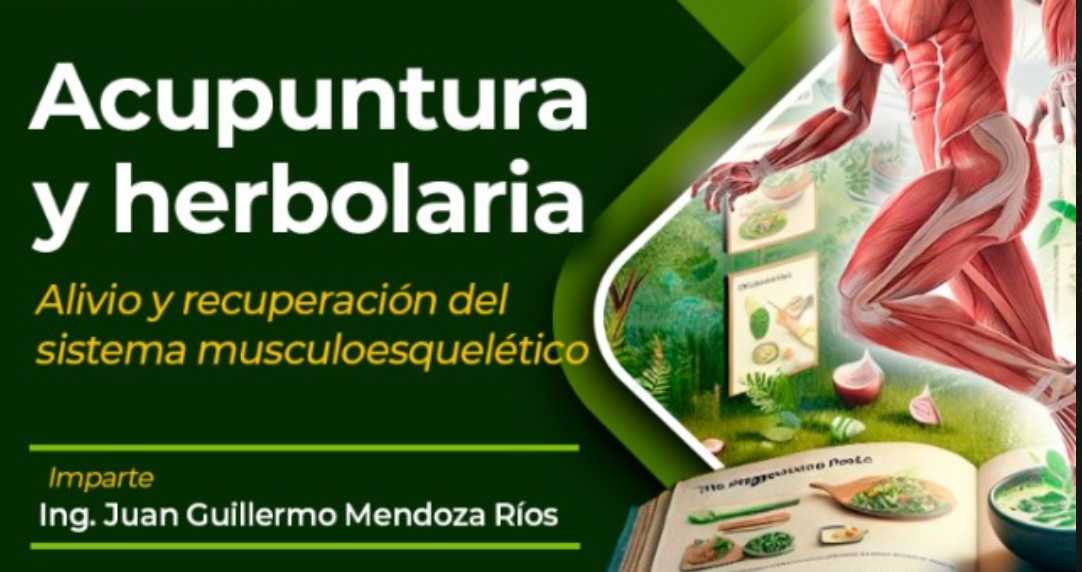 banner para  Acupuntura y Herbolaria: Alivio y Recuperación del Sistema Musculoesquelético