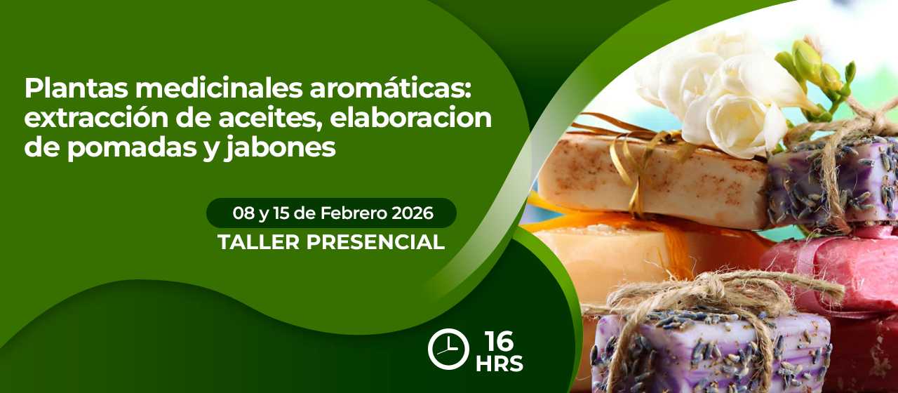 banner para PLANTAS MEDICINALES AROMÁTICAS: EXTRACCIÓN DE ACEITES, ELABORACION DE POMADAS Y JABONES