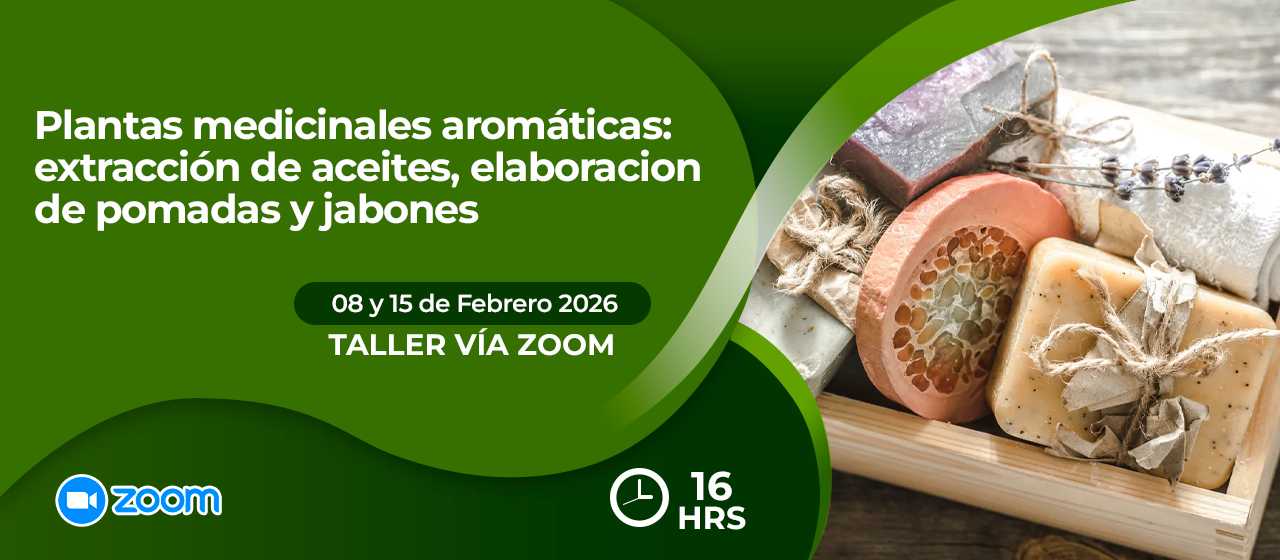 banner para PLANTAS MEDICINALES AROMÁTICAS: EXTRACCIÓN DE ACEITES, ELABORACION DE POMADAS Y JABONES