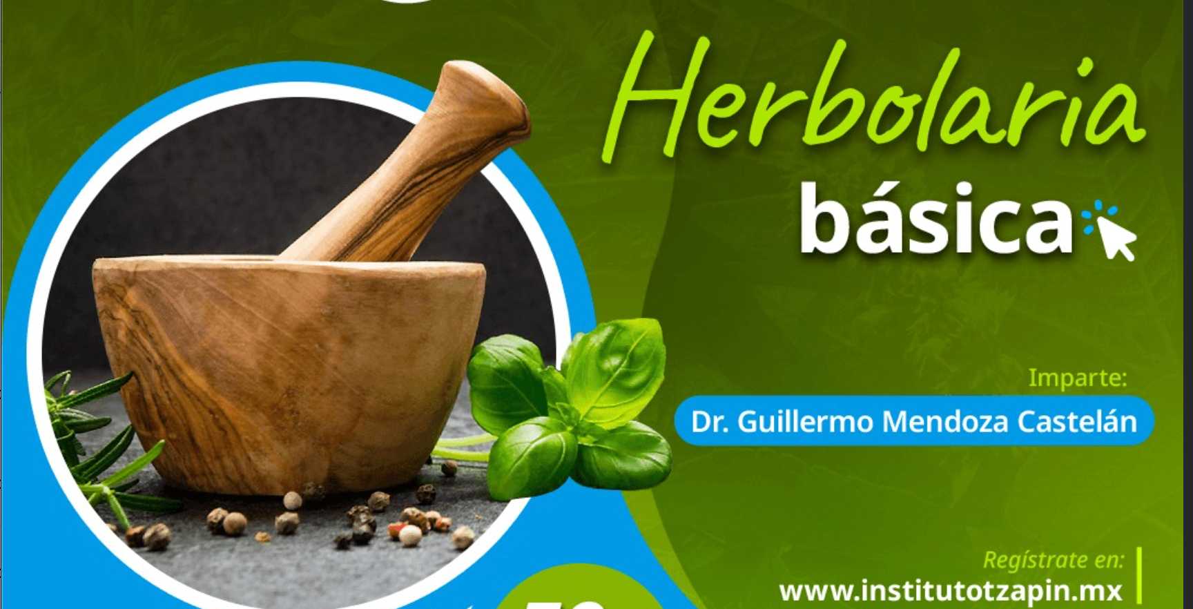 banner para ASESORIA EN HERBOLARIA BASICA GRUPO 6