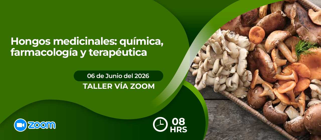 banner para HONGOS MEDICINALES: QUÍMICA, FARMACOLOGÍA Y TERAPÉUTICA-ZOOM