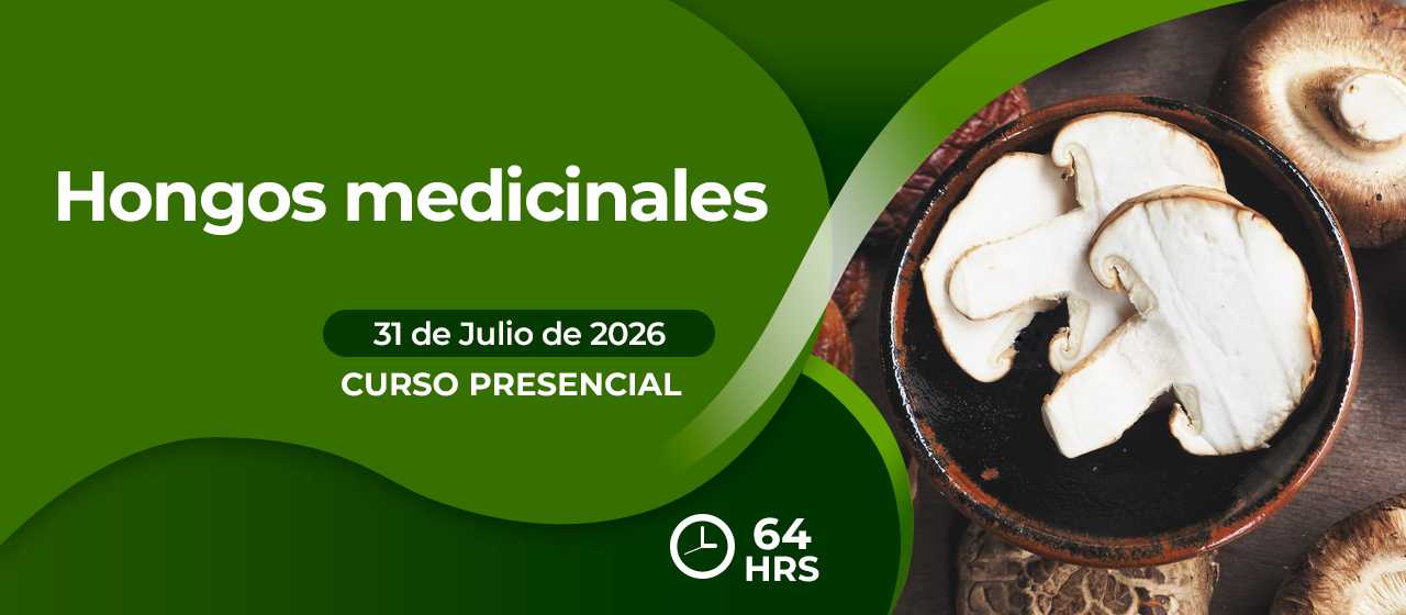 banner para HONGOS MEDICINALES