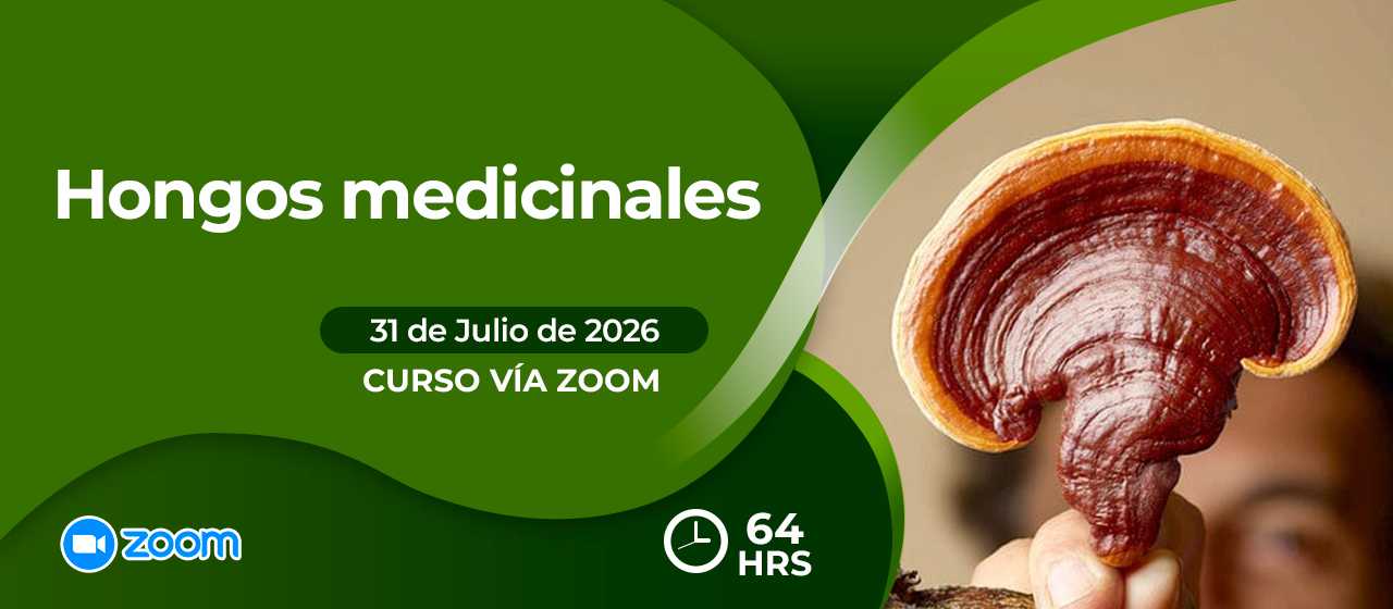 banner para HONGOS MEDICINALES