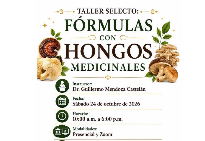 banner para FÓRMULAS CON HONGOS MEDICINALES 