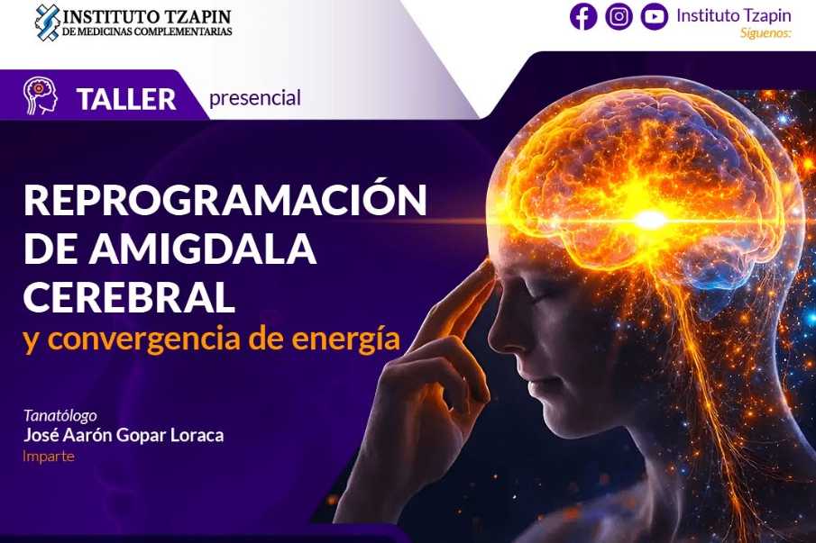 banner para REPROGRAMACIÓN DE AMIGDALA CEREBRAL Y CONVERGENCIA DE ENERGIA