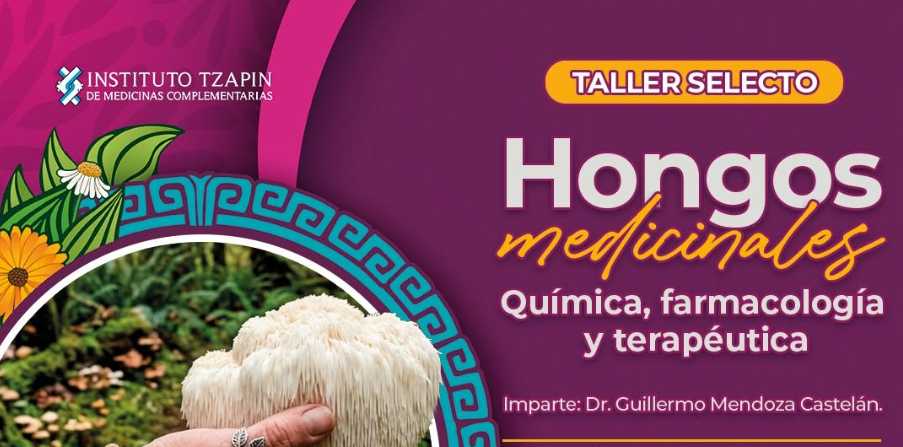 banner para HONGOS MEDICINALES: QUÍMICA, FARMACOLOGÍA Y TERAPÉUTICA
