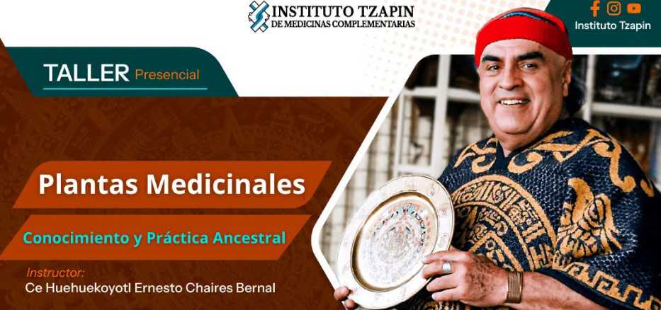 banner para PLANTAS MEDICINALES: CONOCIMIENTO Y PRÁCTICA ANCESTRAL