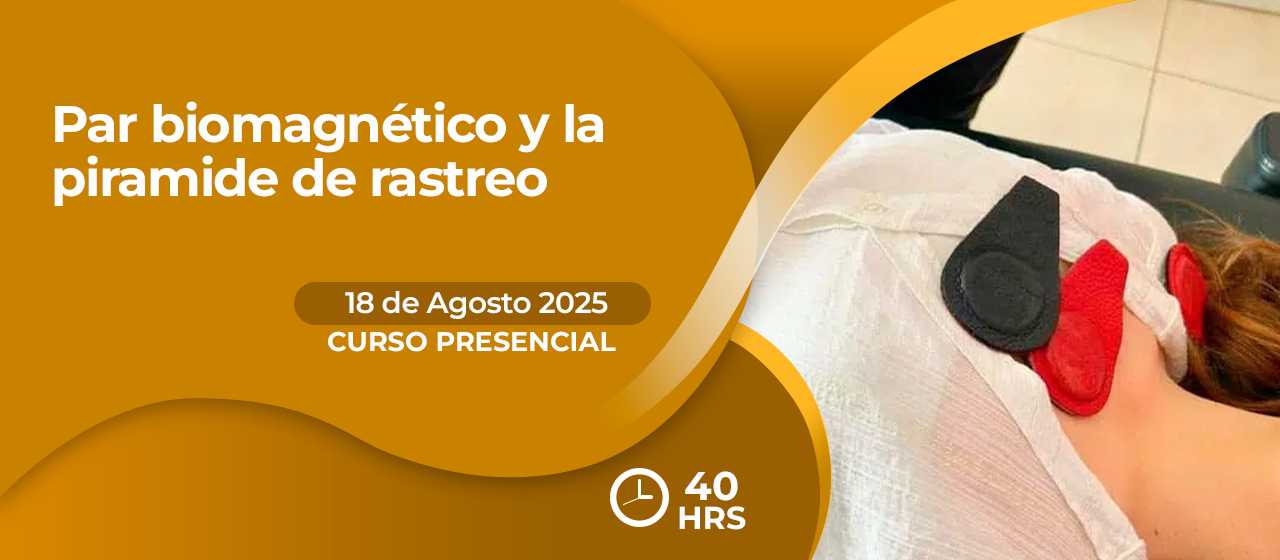 banner para PAR BIOMAGNÉTICO Y LA PIRÁMIDE DE RASTREO