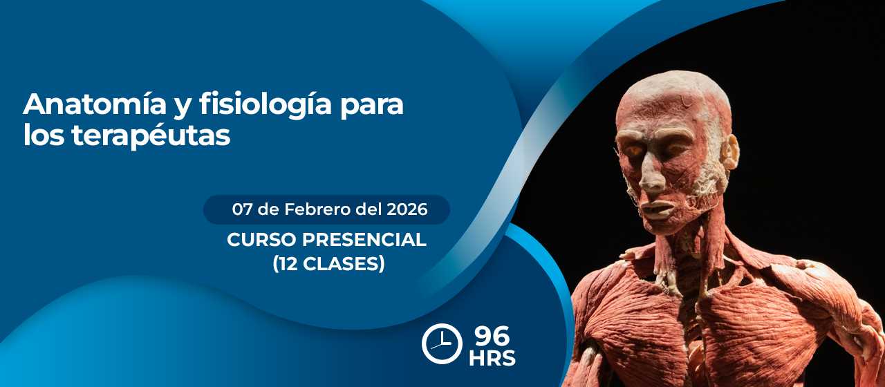 banner para ANATOMÍA Y FISIOLOGÍA PARA LOS TERAPÉUTAS 